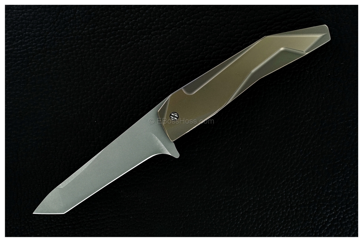 Gustavo Cecchini (GTC Knives) Custom Integral Tanto Flipper